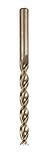 Algopix Similar Product 12 - FAMAG Spiral Drill Bit For WoodHssG