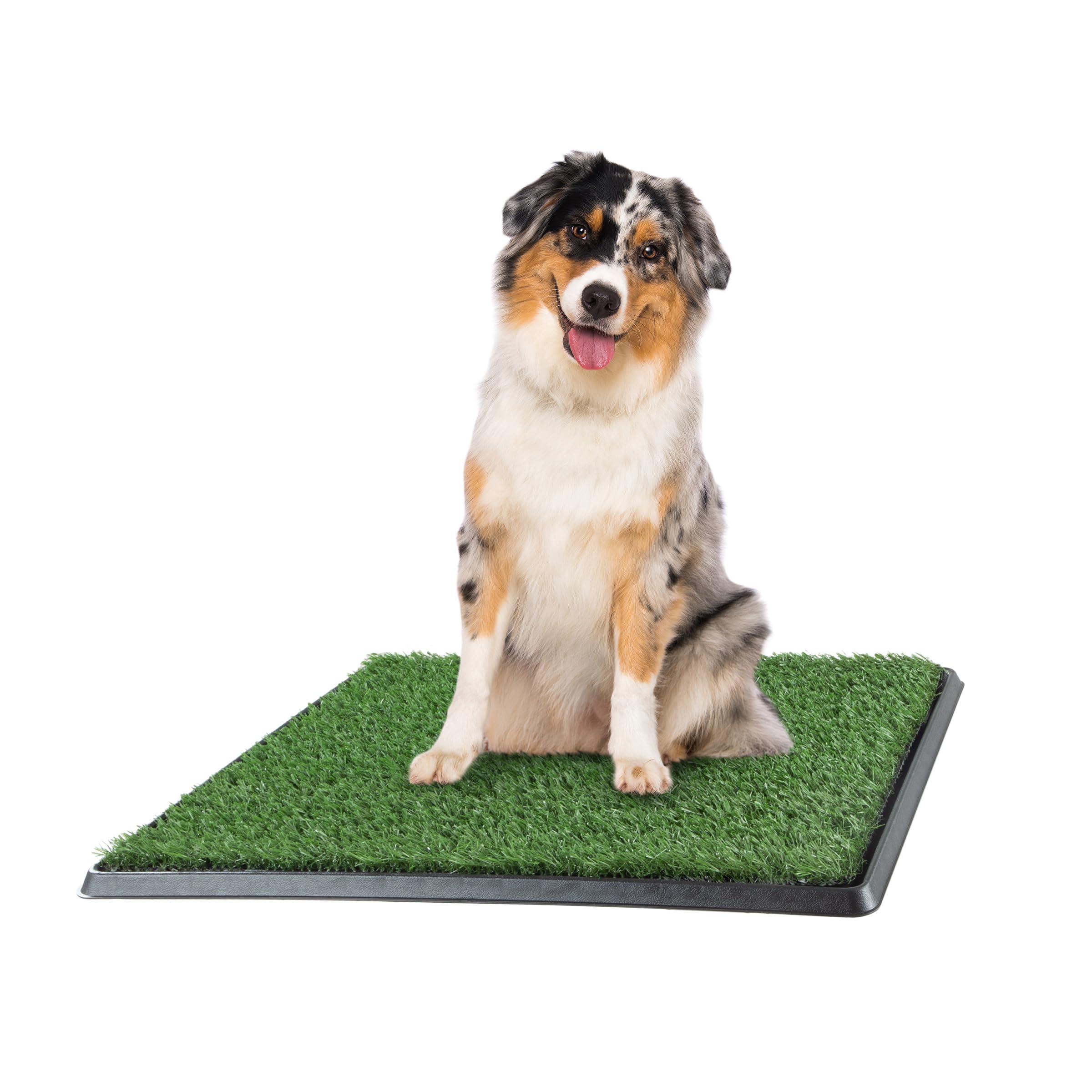 Algopix Similar Product 17 - Artificial Grass Puppy Pee Pad for Dogs