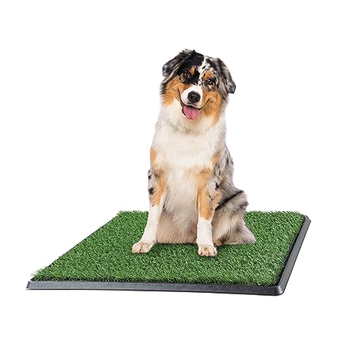 Algopix Similar Product 11 - Artificial Grass Puppy Pee Pad for Dogs