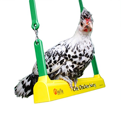 Algopix Similar Product 9 - Fowl Play Products The Chicken Swing