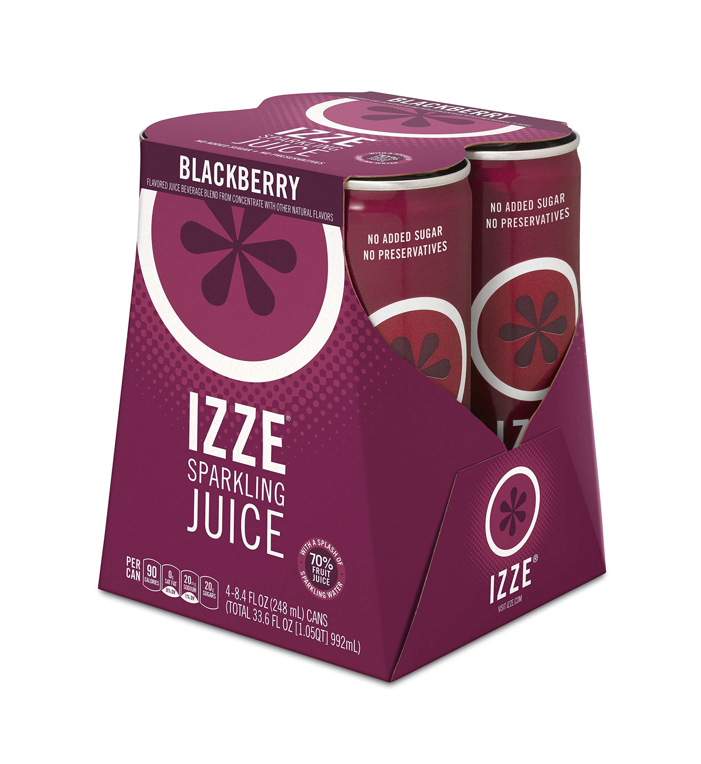 Algopix Similar Product 17 - IZZE Sparkling Juice Blackberry 84