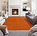 Algopix Similar Product 2 - Ottomanson SHG27615X7 Solid Shag Rug