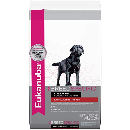 Algopix Similar Product 5 - Eukanuba Breed Specific Labrador