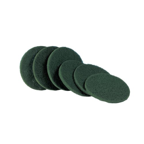 Algopix Similar Product 18 - Electrolux Polisher Scouring Disk