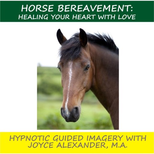 Algopix Similar Product 5 - Horse Bereavement Healing Your Heart