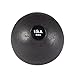 Algopix Similar Product 15 - Body-Solid Slam Ball 15 lb.