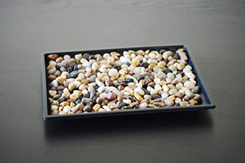 Algopix Similar Product 10 - 9GreenBox Bonsai Humidity Drip Tray 