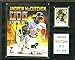 Algopix Similar Product 10 - CI Collectables MLB Pittsburgh Pirates