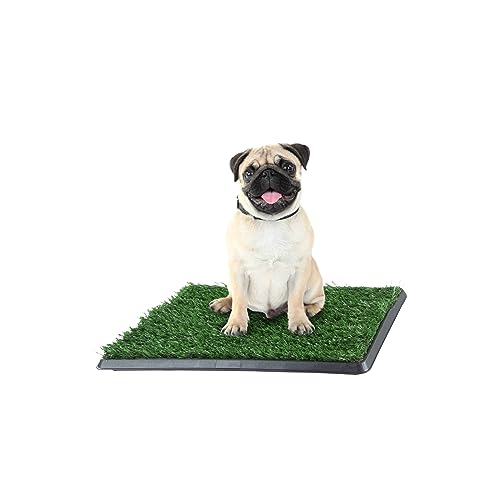 Algopix Similar Product 4 - Artificial Grass Puppy Pee Pad for Dogs