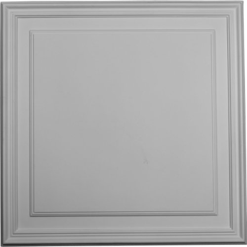 Algopix Similar Product 2 - Ekena Millwork PNL22X22LE 21 58Inch W