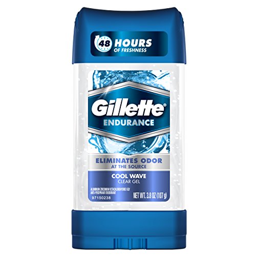 Algopix Similar Product 7 - Gillette Endurance Antiperspirant and