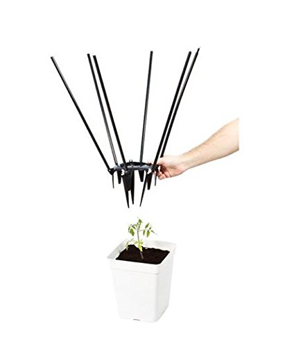Algopix Similar Product 14 - Global Garden Friends Ultimate Plant