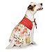 Algopix Similar Product 15 - Casual Canine Hawaiian Breeze Sundress