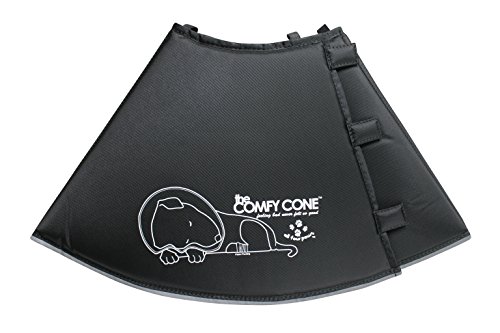 Algopix Similar Product 3 - All Four Paws Comfy Cone Pet Cone for