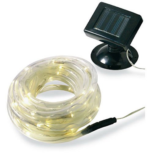 Algopix Similar Product 20 - Promier Products IC6100ROP12 100LED