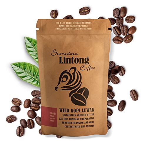 Algopix Similar Product 18 - Wild Kopi Luwak the Worlds Most