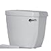 Algopix Similar Product 6 - PROFLO PF6112R Calhoun Toilet Tank Only