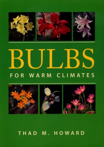 Algopix Similar Product 10 - Bulbs for Warm Climates
