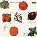 Algopix Similar Product 11 - Best Of Cream[LP]
