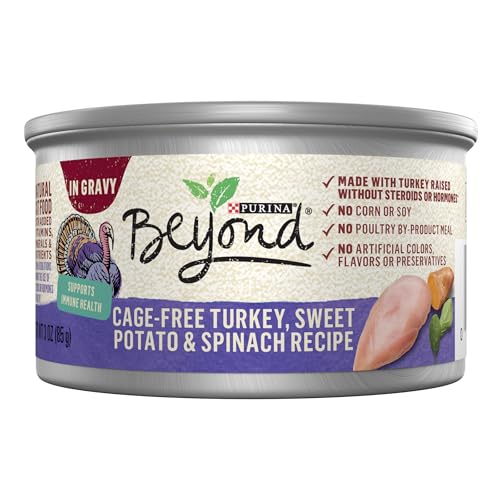 Algopix Similar Product 15 - Purina Beyond CageFree Turkey Sweet