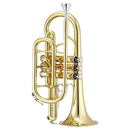 Algopix Similar Product 7 - Jupiter Standard Bb Cornet 520L