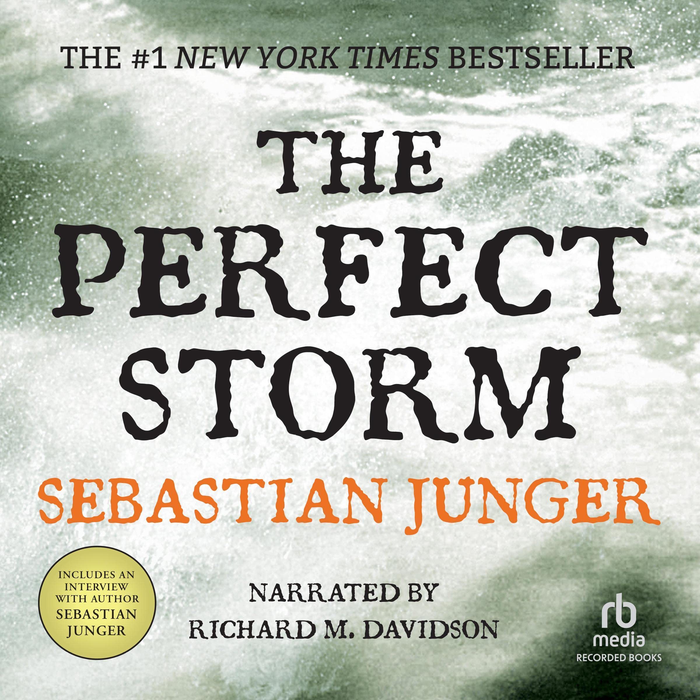 Algopix Similar Product 20 - The Perfect Storm A True Story of Men