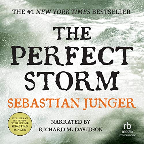 Algopix Similar Product 11 - The Perfect Storm A True Story of Men