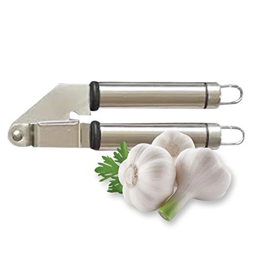 Algopix Similar Product 20 - HomeStart Stainless Steel Garlic Press