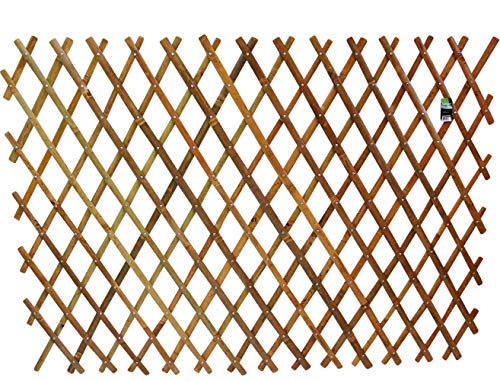 Algopix Similar Product 15 - Master Garden Products Bamboo Flex