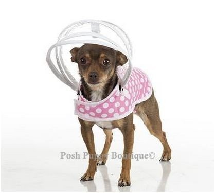 Algopix Similar Product 16 - Push Pushi DRCMWPP Puddle Jumper