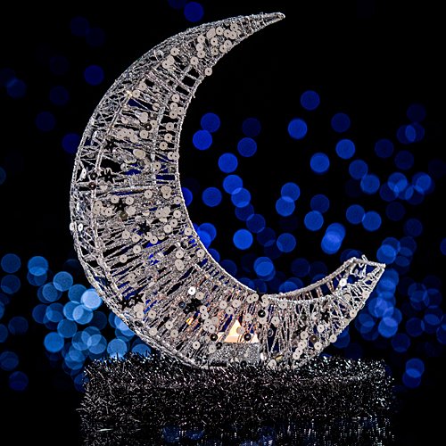Algopix Similar Product 18 - Shimmering Moon Centerpiece Party