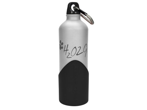 Algopix Similar Product 4 - Kapimex H2O2GO, 750 ml, Silver