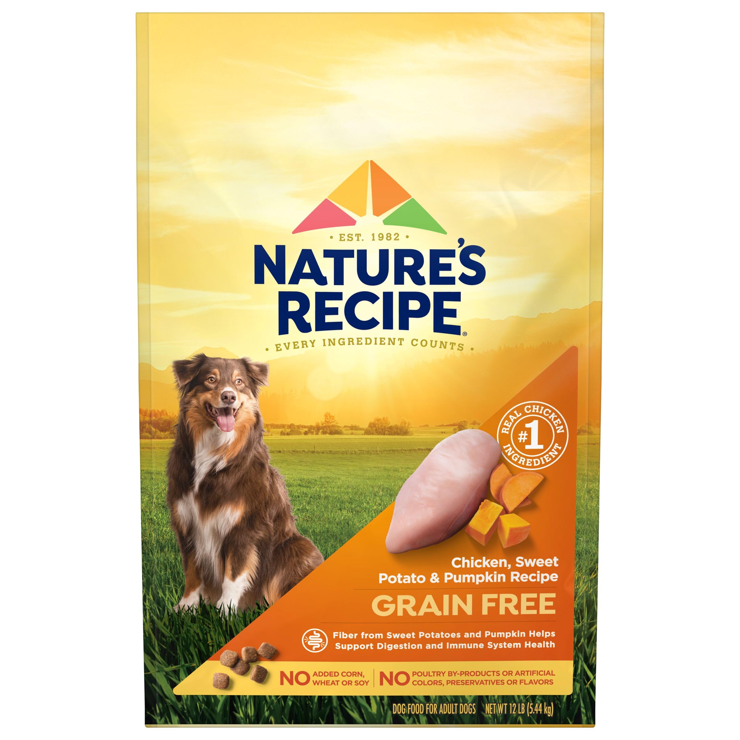 Algopix Similar Product 20 - Natures Recipe Grain Free Chicken