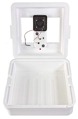 Algopix Similar Product 14 - Little Giant Digital Still Air