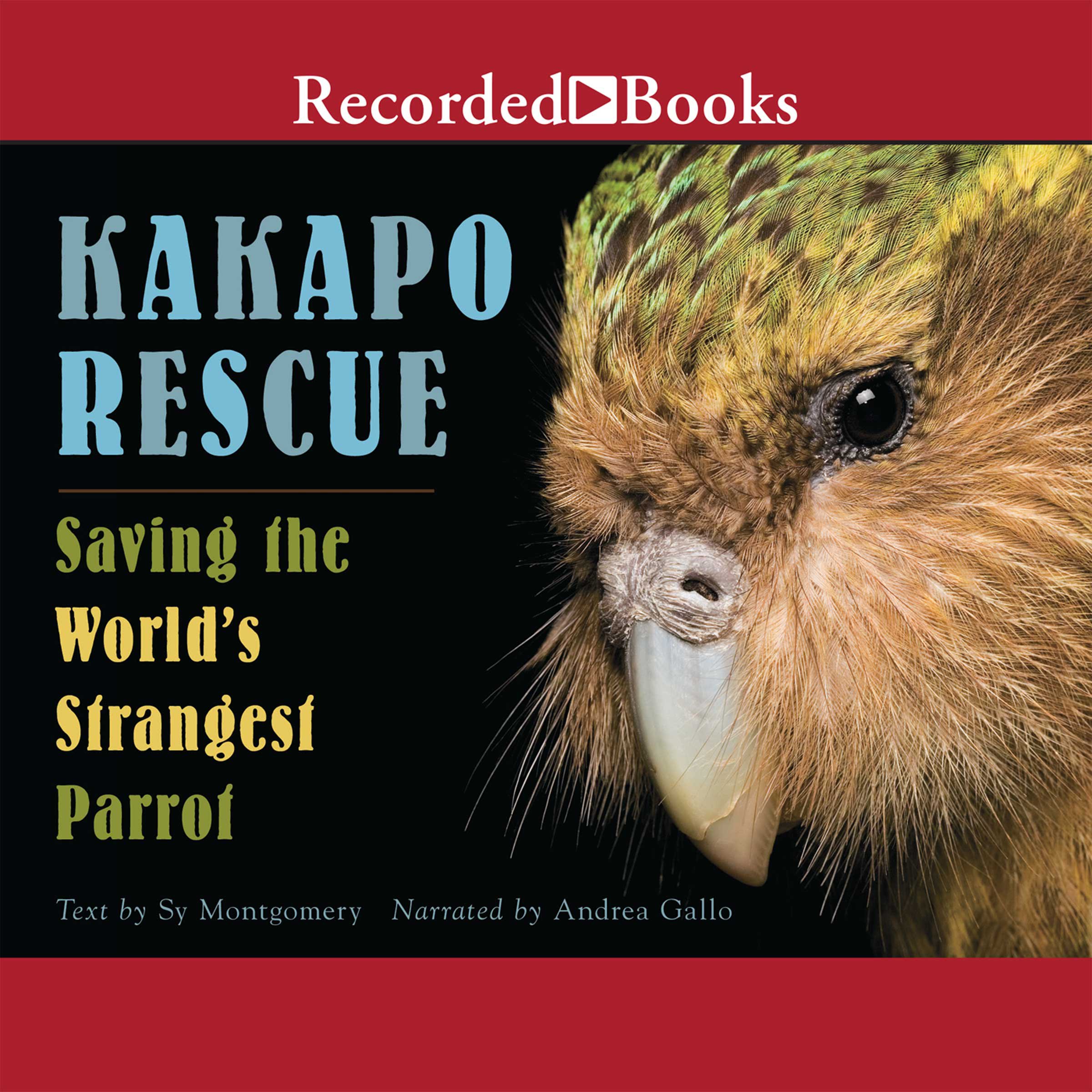 Algopix Similar Product 16 - Kakapo Rescue Saving the Worlds