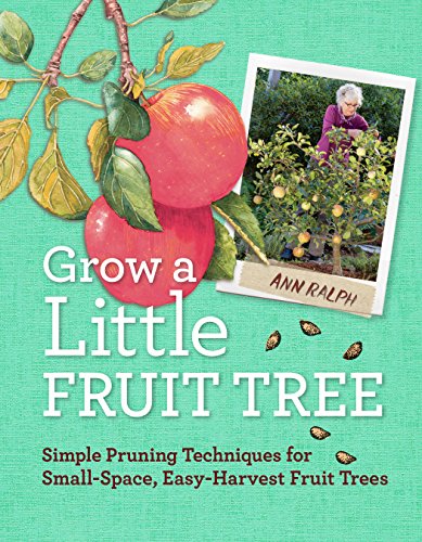 Algopix Similar Product 7 - Grow a Little Fruit Tree Simple