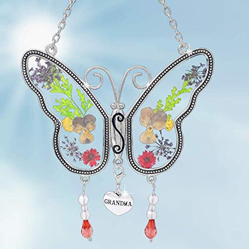 Algopix Similar Product 11 - BANBERRY DESIGNS Grandma Butterfly
