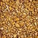 Algopix Similar Product 13 - Vigoro 0.5 cu. ft. Gray River Pebbles