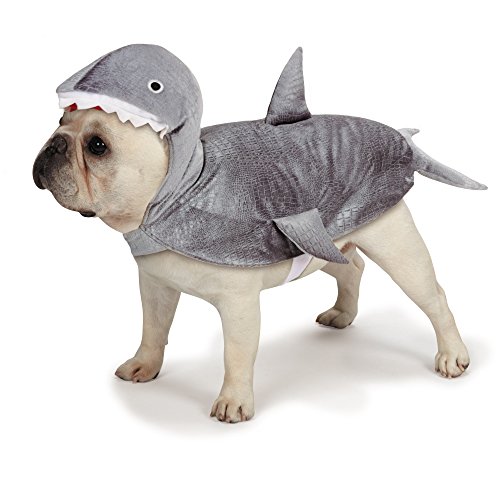 Algopix Similar Product 16 - Casual Canine Casual Canine Shark