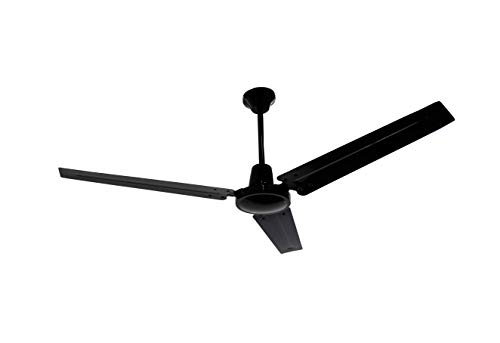Algopix Similar Product 5 - Q Standard 11560 Ceiling Fan