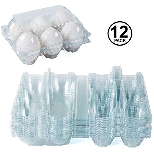 Algopix Similar Product 14 - Clear Plastic Premium EcoFriendly Egg