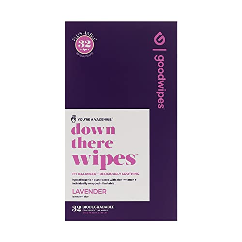 Algopix Similar Product 8 - Goodwipes Flushable Down There Feminine