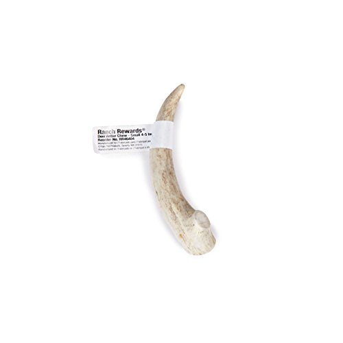 Algopix Similar Product 10 - Ranch Rewards 4Inch Deer Antler Chew