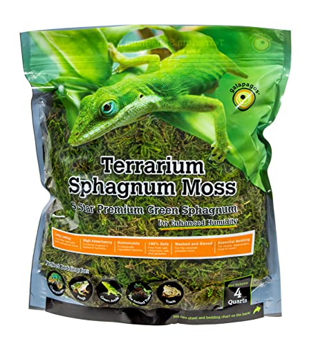 Algopix Similar Product 12 - Galpagos 05213 Terrarium Green