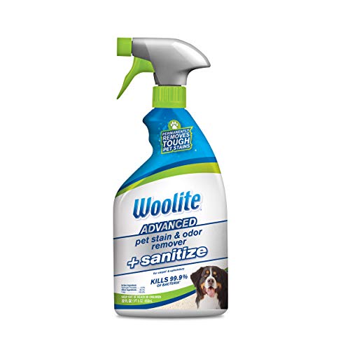 Algopix Similar Product 10 - Woolite Advanced Pet Stain  Odor