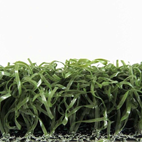 Algopix Similar Product 9 - RealGrass Putting Green Artificial