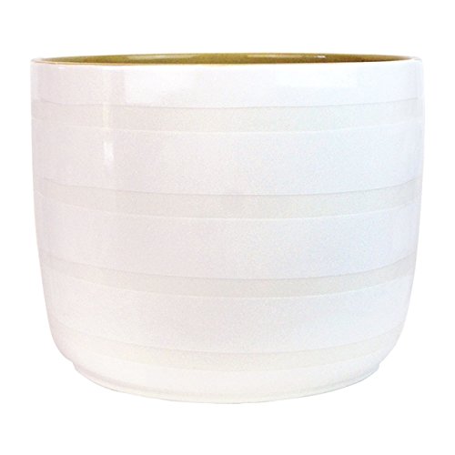 Algopix Similar Product 10 - Pebble and Plank Party Bowls, Set of 2