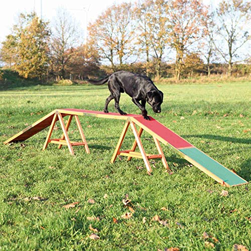 Algopix Similar Product 4 - TRIXIE Agility Dog Walk with Colored