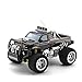 Algopix Similar Product 9 - Lutema Big Shocker 4CH Remote Control