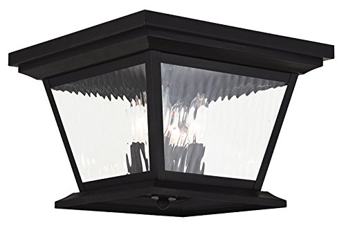 Algopix Similar Product 17 - Livex Lighting 2024907 Hathaway